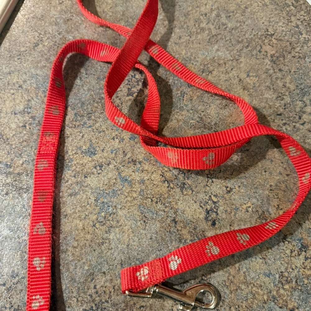 Red Dog Leash with Paw Prints